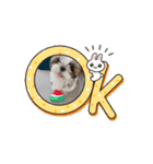 はる太の日常♡（個別スタンプ：8）