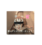凪の成長スタンプシリーズ（個別スタンプ：4）