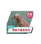 動くよⅡ（個別スタンプ：3）