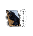 動くよⅡ（個別スタンプ：4）