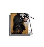 動くよⅡ（個別スタンプ：6）