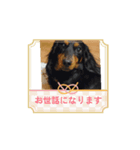 動くよⅡ（個別スタンプ：8）