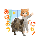 デグー大好き！ニートにゃ猫耳妖精（個別スタンプ：1）