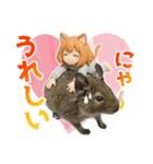 デグー大好き！ニートにゃ猫耳妖精（個別スタンプ：6）