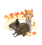 デグー大好き！ニートにゃ猫耳妖精（個別スタンプ：15）