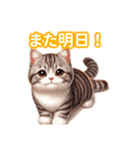 とにかくかわいい アメリカン・ボブテイル（個別スタンプ：5）