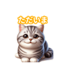 とにかくかわいい アメリカン・ボブテイル（個別スタンプ：9）