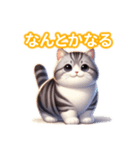 とにかくかわいい アメリカン・ボブテイル（個別スタンプ：16）