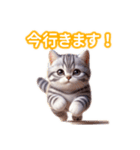 とにかくかわいい アメリカン・ボブテイル（個別スタンプ：17）