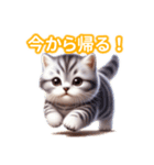 とにかくかわいい アメリカン・ボブテイル（個別スタンプ：36）