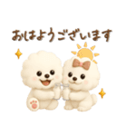 ビションフリーゼ毎日使える♪丁寧⭐︎立体（個別スタンプ：1）