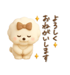 ビションフリーゼ毎日使える♪丁寧⭐︎立体（個別スタンプ：12）