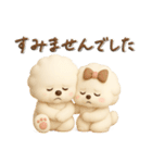 ビションフリーゼ毎日使える♪丁寧⭐︎立体（個別スタンプ：13）