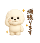 ビションフリーゼ毎日使える♪丁寧⭐︎立体（個別スタンプ：20）