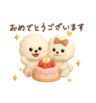 ビションフリーゼ毎日使える♪丁寧⭐︎立体（個別スタンプ：31）
