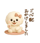 ビションフリーゼ毎日使える♪丁寧⭐︎立体（個別スタンプ：34）