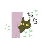 けだるい黒猫の使える日常吹き出し（個別スタンプ：38）