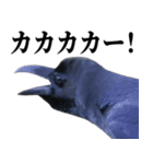 カカカのカカカカ（個別スタンプ：6）