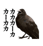 カカカのカカカカ（個別スタンプ：7）