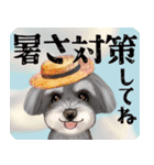【シュナのおうち】動くよ！Pop-Up（個別スタンプ：11）