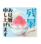 【シュナのおうち】動くよ！Pop-Up（個別スタンプ：12）