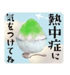 【シュナのおうち】動くよ！Pop-Up（個別スタンプ：13）