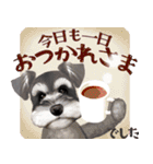 【シュナのおうち】動くよ！Pop-Up（個別スタンプ：24）