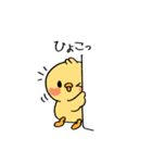 やわらか〜い「きいぴよ」！（個別スタンプ：12）