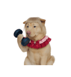 赤い服を着た紀州犬 (NT)（個別スタンプ：11）
