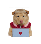 赤い服を着た紀州犬 (NT)（個別スタンプ：29）
