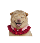 赤い服を着た紀州犬 (NT)（個別スタンプ：30）