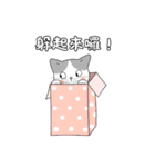 ゆる変ネコ – 癒しLINEスタンプ（個別スタンプ：39）