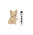 アクションk-gigi30（個別スタンプ：4）