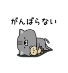 にゃむ猫ちゃぽ挨拶ゆるいかも（個別スタンプ：27）
