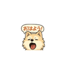 ポメのくうちゃん1（個別スタンプ：1）