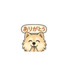 ポメのくうちゃん1（個別スタンプ：2）