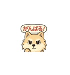 ポメのくうちゃん1（個別スタンプ：5）