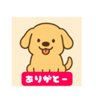 ゆるっとゴールデン・レトリーバー（個別スタンプ：3）