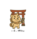 狛犬といく神社めぐりスタンプ帳（個別スタンプ：1）