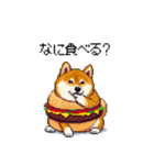 柴犬バーガー シバーガー な太っちょ柴犬（個別スタンプ：4）
