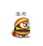 柴犬バーガー シバーガー な太っちょ柴犬（個別スタンプ：6）