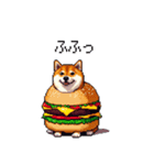 柴犬バーガー シバーガー な太っちょ柴犬（個別スタンプ：7）