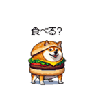 柴犬バーガー シバーガー な太っちょ柴犬（個別スタンプ：8）