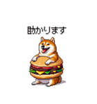 柴犬バーガー シバーガー な太っちょ柴犬（個別スタンプ：12）
