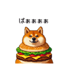 柴犬バーガー シバーガー な太っちょ柴犬（個別スタンプ：15）
