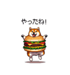 柴犬バーガー シバーガー な太っちょ柴犬（個別スタンプ：16）