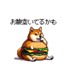 柴犬バーガー シバーガー な太っちょ柴犬（個別スタンプ：21）