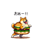 柴犬バーガー シバーガー な太っちょ柴犬（個別スタンプ：24）