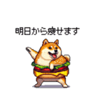 柴犬バーガー シバーガー な太っちょ柴犬（個別スタンプ：26）