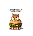 柴犬バーガー シバーガー な太っちょ柴犬（個別スタンプ：29）